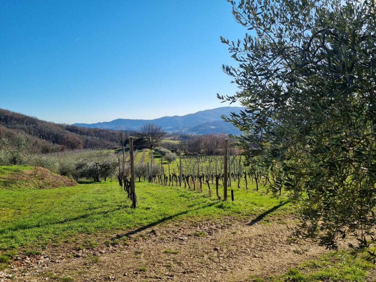 Walkandrace Sant'Agata  Dış mekan fotoğraf